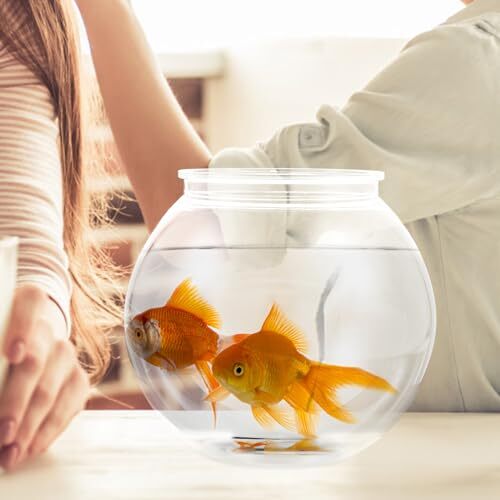 Plastic Fish Bowl, Round Aquarium Clear Small Fishbowl Clear Ivy Bowls