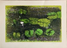 Giancarlo Cazzaniga Fiori sull'Acqua litografia  50x35 firmata numerata 