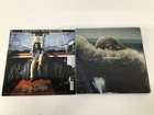 Lot of 10 Assorted Vinyl Records : Bob Marley, Beyonce, Pink Floyd