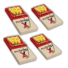 Easy Set Wood/Plastic Mouse Trap 4-Count