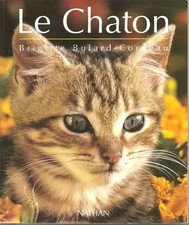 Le chaton : D'avant sa naissance à l'âge adulte, Brigitte Bulard-Corde
