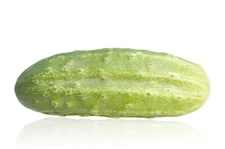 100 National Pickling Cucumber Seeds - Non-GMO - Heirloom Cucumber Seeds