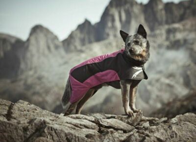 HURTTA ULTIMATE WARMER DOG WINTER JACKETS - Limited Sizes & Colors