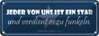 Blechschild 10X27 Cm Jeder Von Uns Ist Ein Star Und Dekoration Spruch Zitat Deko