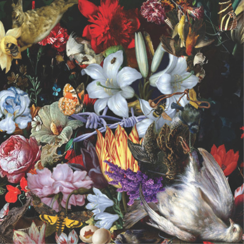 Альбом The Nightingales Perish the Thought (винил) 12 (ИМПОРТИРОВАН из Великобритании)