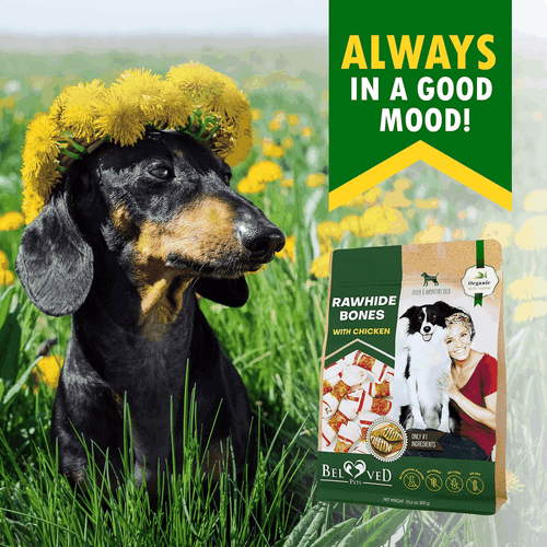 Dog Rawhide Sticks Wrapped with Chicken Pet Natural Chew Treats Grain Free Snack - Picture 7 of 7