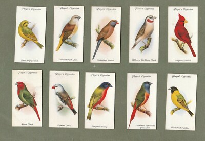 birds of a feather tobacco Smoke Summary: Sutliff 