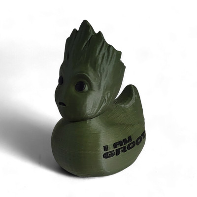 Groot Duck