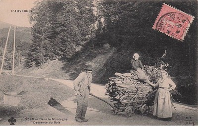 PUY DE DOME L'Auvergne '' in den Bergen Abstieg des Waldes ''
