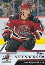 TYLER STEENBERGEN 2018-19 18-19 UPPER DECK AHL BASE #83 TUCSON ROADRUNNERS