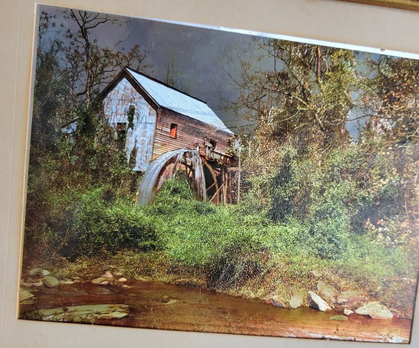 Picture 5 of 9
