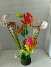 Pitcher plant table Decoration