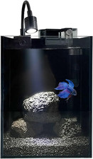 1.5Gallon Glass Aquarium Nano Betta Fish Tank Start Kit with Fillter,Led Loght 2