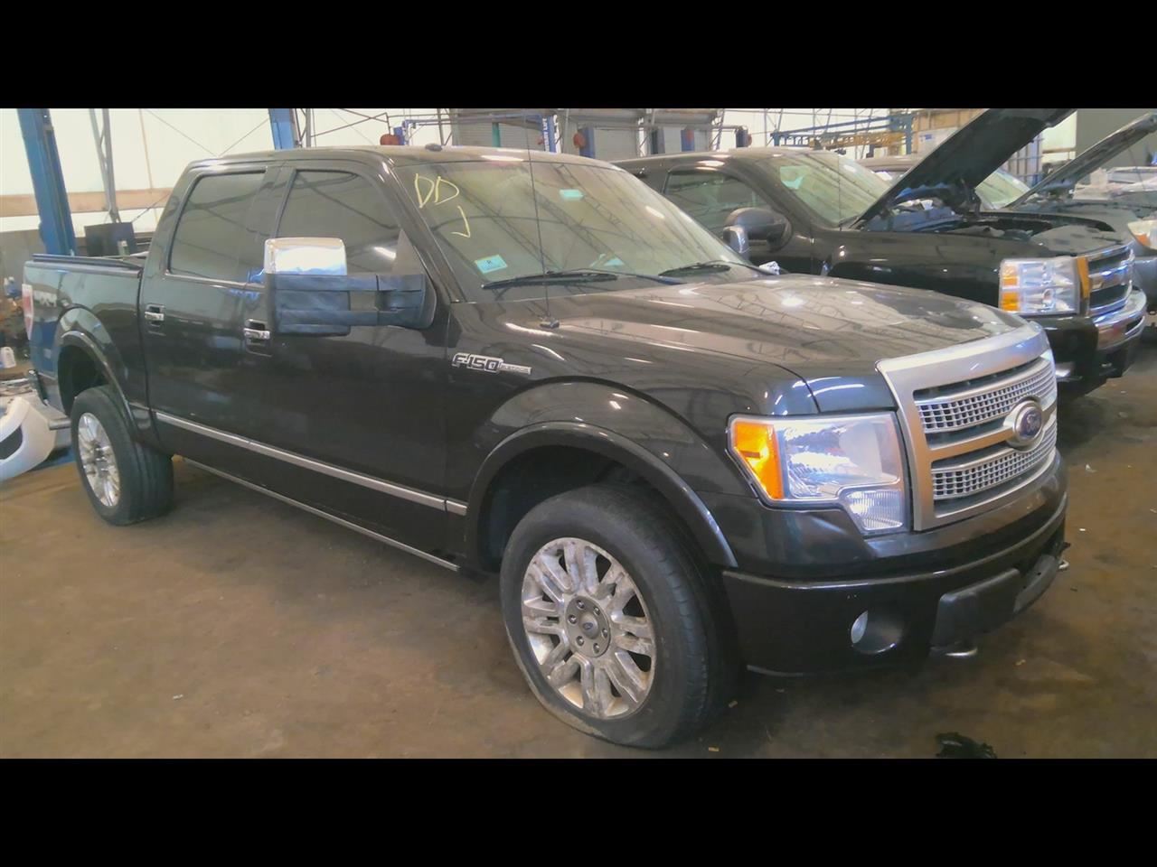 F150      2010 Fuel Filler Door 6405504