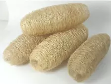 03Pcs natural Scrubber of Dried Ridge Gourd / Body Care /Skin smoothie