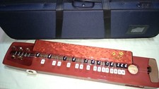 Gift Idea: Suzuki YURI Electric Taishogoto Semi-hard Case 01