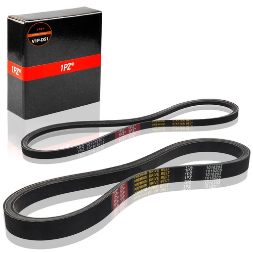 Drive Belt Starter Generator Belt For Golf Cart Clutch Club Car DS Precedent GAS - 第 2/8 張圖片