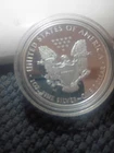 2013 $1 American Silver Eagle 1 oz .999 Coin