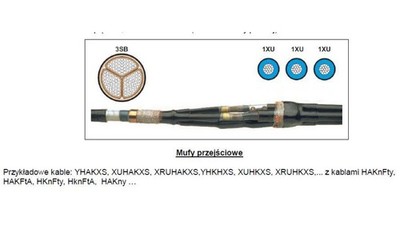 Mufa D przejściowa SN z złączkami śrubowymi MXSU-24D/1XU-3SB - TE Raychem - papi