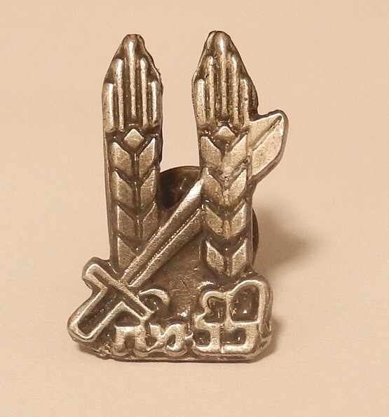 IDF イスラエル空軍　バージ ピン Badge Pin　A Amazon.com: Israeli army IDF PARATROOPER brigade fighter