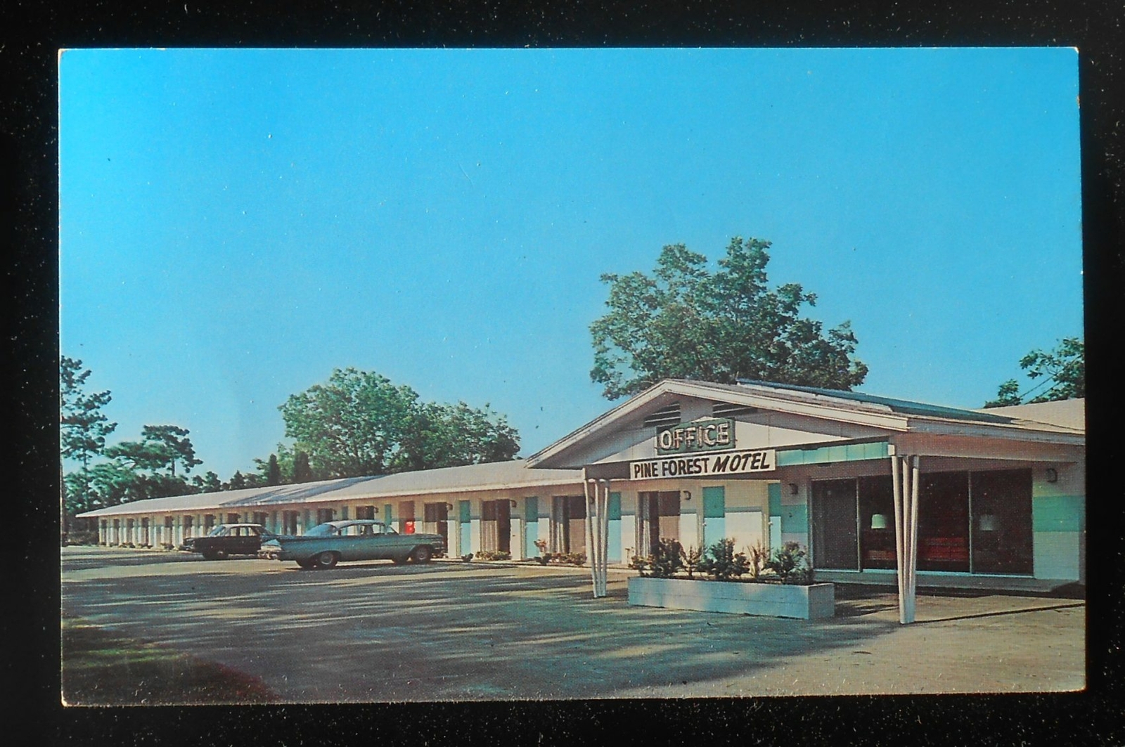 1960s Pine Forest Motel H. S. McKendree L. T. McKendree Rt. 17 Old Cars