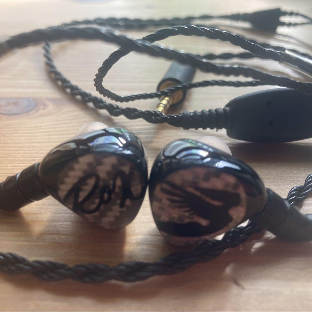 Roxanne UNIVERSAL IEM Silver Carbon Audio | eBay Roxanne UNIVERSAL IEM Silver Carbon Audio | eBay