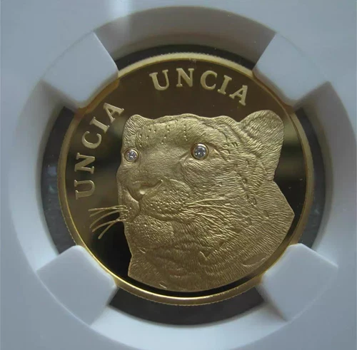 Snow Leopard 2009 8g Kazakhstan G500T NUCIA NGC PF 70 ULTRA CAMEO Gold  Coin