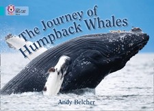 The Journey of Humpback Whales : Band 07/Turquoise Paperback Andy