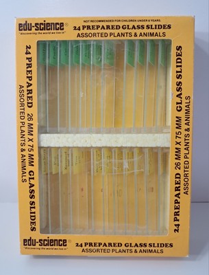 Vintage Edu-Science 24 Prepared Glass Slides Plants Animals 26 mm 75 mm New 