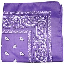 15 Pack Paisley 100 Polyester Bandanas Bulk Wholesale Unisex Head Wrap Set