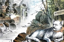 NY Customs House Reform 1885 PRESIDENT CLEVELAND as CAT Puck Political Print