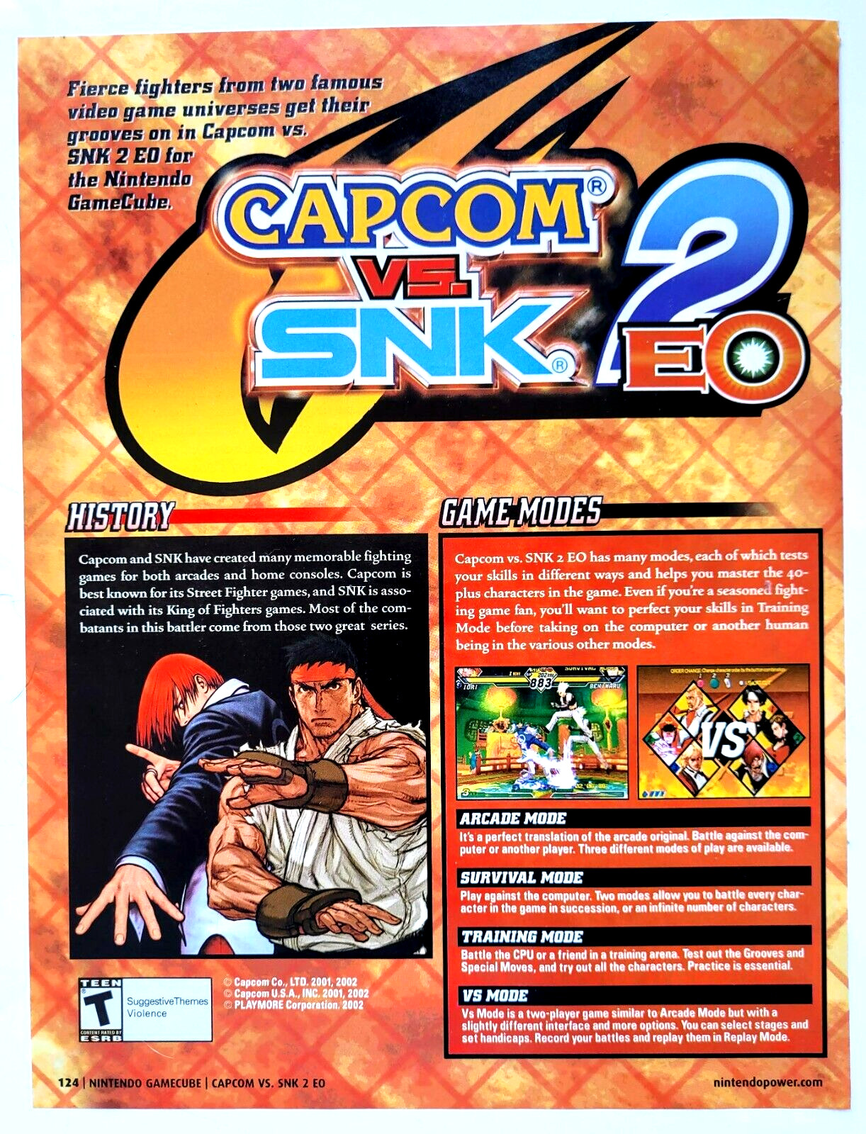 Street Fighter Top Ten Gamecube Games Bloody Roar: Primal Fury