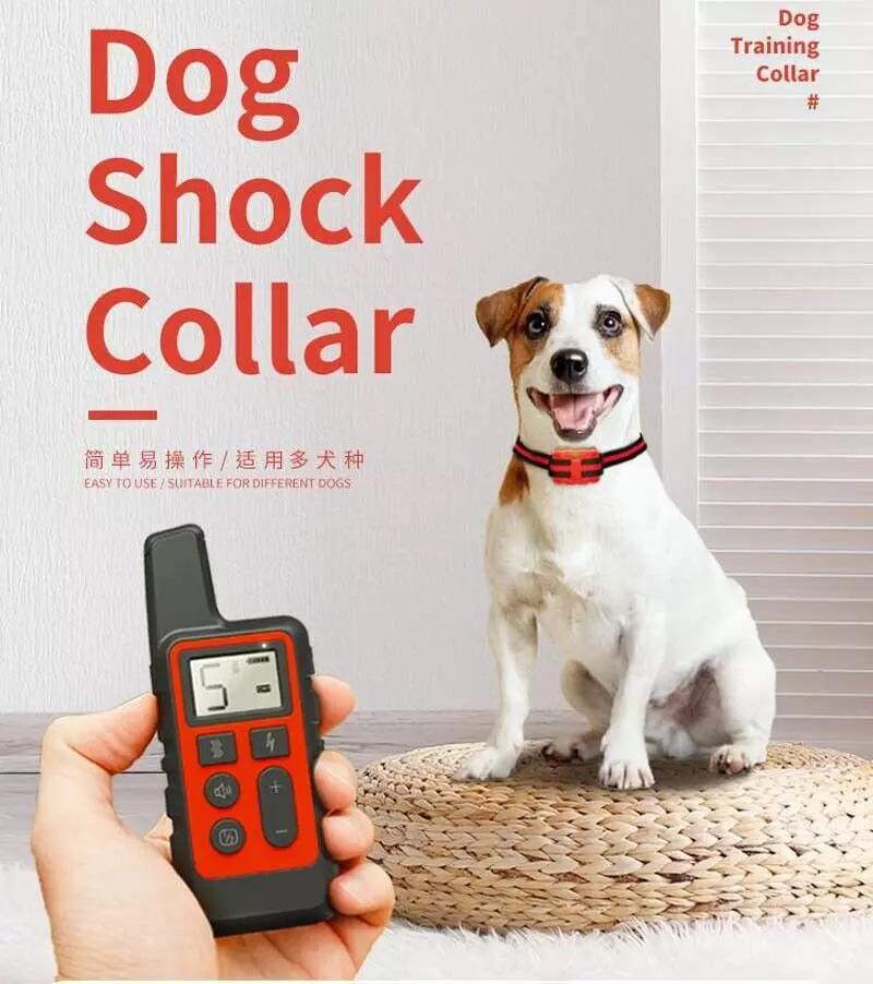 Pet Dog Training E-Collar 500M Remote Control Electronic Bark Stopper  Device | eBay