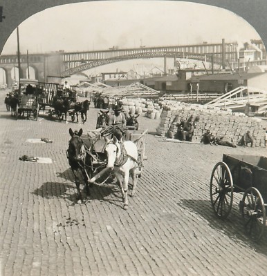 Keystone Stereoview of the Levee at St. Louis, MO From Rare USA 100 Card Set #34