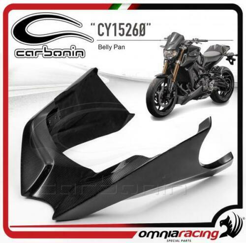 Carena PISTA Carbonin VETRORESINA YAMAHA YZF R6 2008 2009 2010 2011 2012 - Foto 3