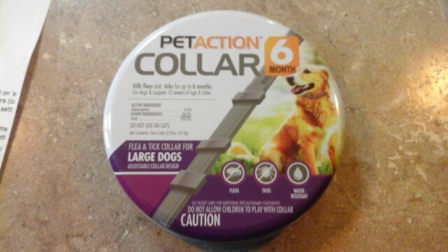 petaction collar
