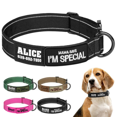 Personalized Military Pet Dog Collar Tactical with Custom Name Print Patch  L XL