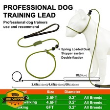 BeauGo Slip Lead Dog Training Rope, 2-in-1 Lead Collar, 3.6ft