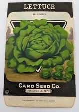 Vintage Lettuce Seed Packet - Card Seed Co Fredonia NY - Hanson's NOS