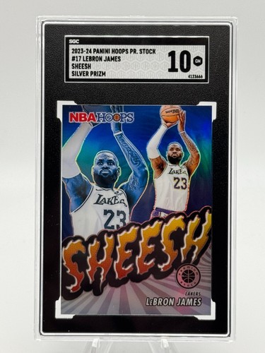 2023 LeBron James [Silver Prizm] #17