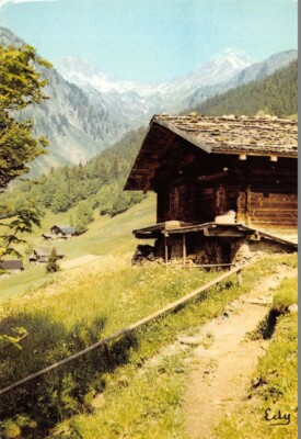 PICTURE OF HOME - On the path that leads to the alpine pasture
