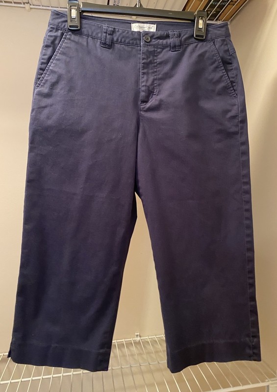 Coldwater Creek Navy Blue  Cropped Pants with Pockets Size P8