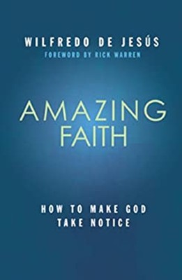 Amazing Faith : How to Make God Take Notice Paperback Wilfredo de