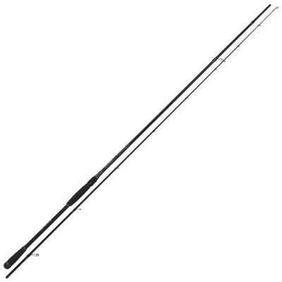 TDS Seatrout Catapult Meerforellenrute 300cm 10-38g Forellenrute Angelrute 2-tei