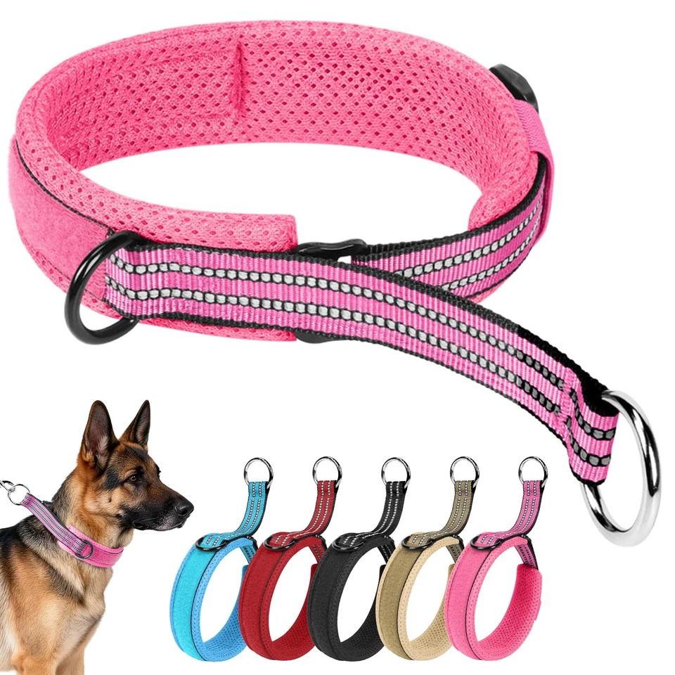 Collier pour Chien en Nylon Résistant, Collier Martingale Chien Grand Moyen - Photo 1/4