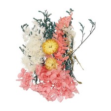 Natural Dried Flower Set, Dried Pressed Flowers Orange Blue 