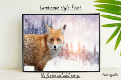 FOX A4 PRINT PICTURE POSTER WALL ART HOME DECOR UNFRAMED NEW GIFT snow 