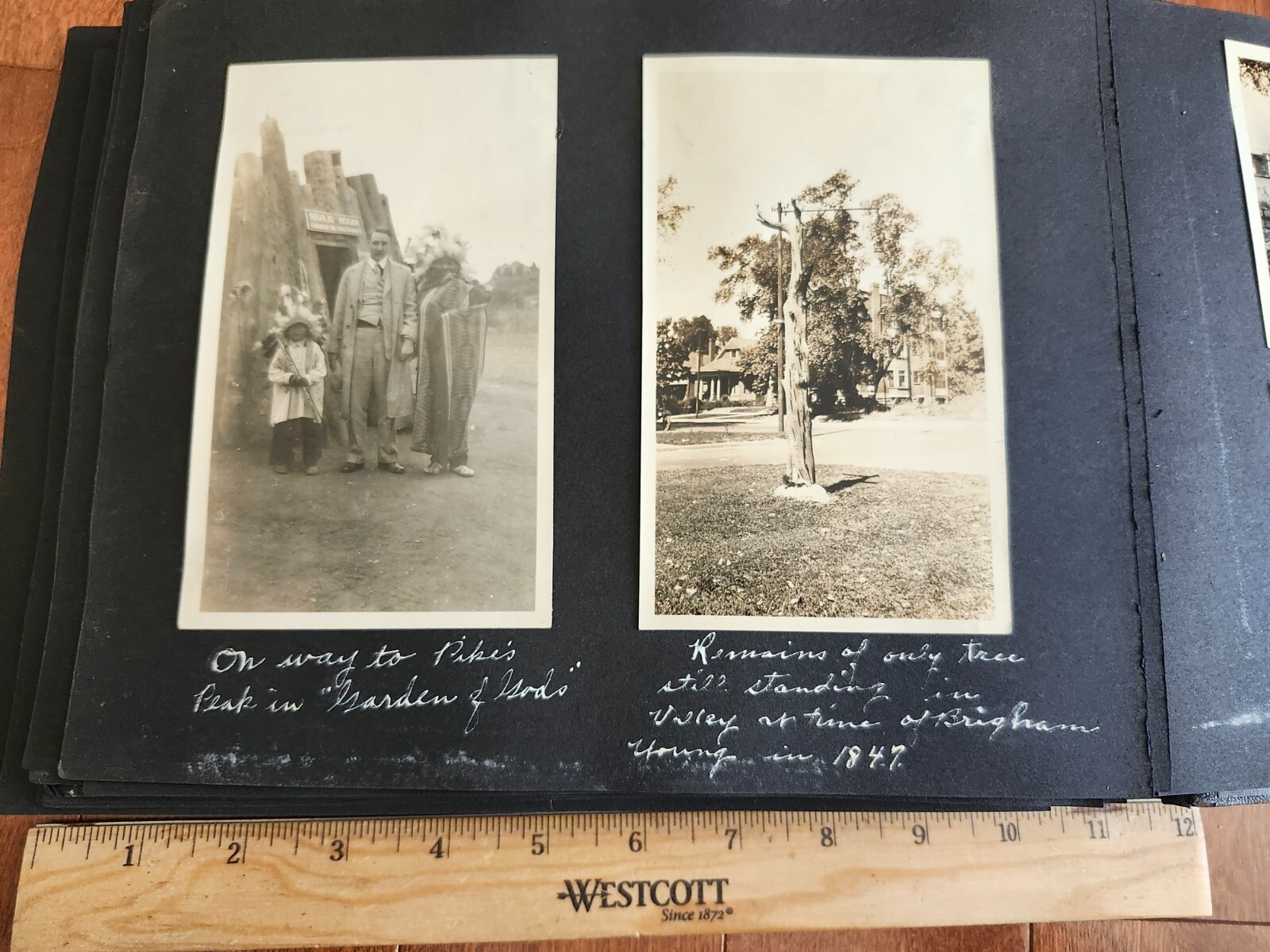 Picture 20 of 20
