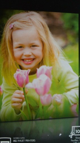 hp EVERYDAY PHOTO PAPER 4 X 6" Work w/All Inkjet Printers 100 Photo Paper G5440A - 第 2/3 張圖片