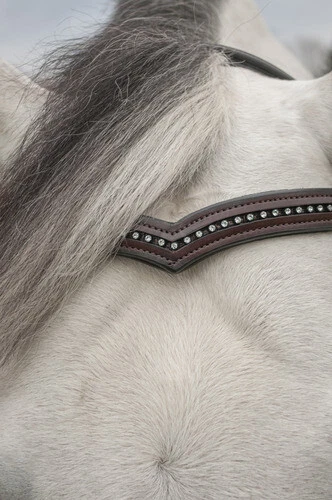 KL Select Italia Pirouette Snaffle Bridle - Thumbnail 5